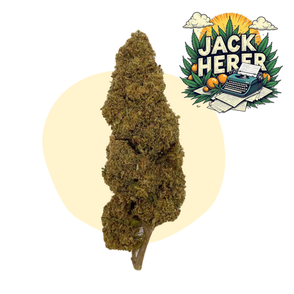 Jack Herer CBD