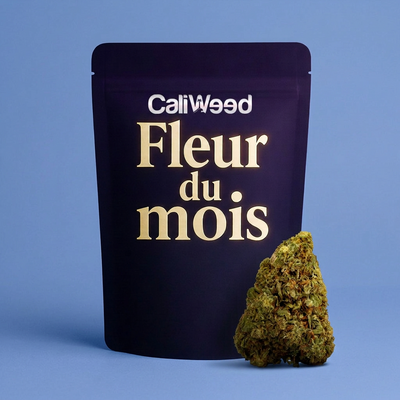 CBD-Blüte des Monats