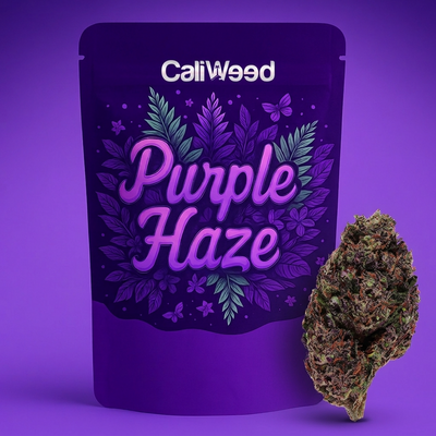 Purple Haze small buds